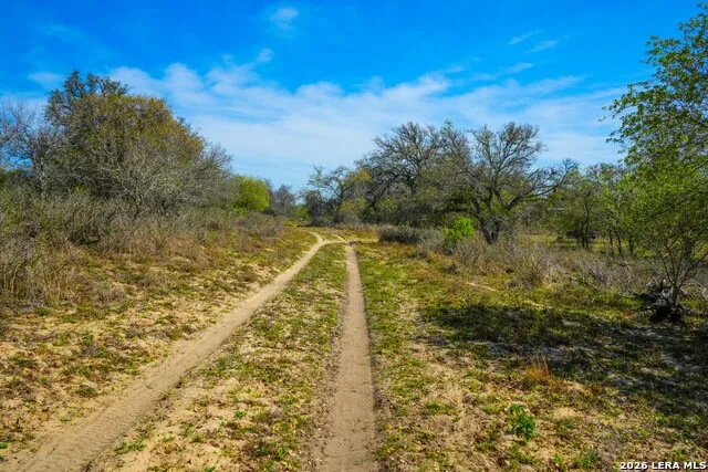 9521 Fm 1303 Floresville, TX 78114